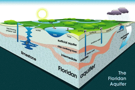 cross section graphic of the Florida aquifer 