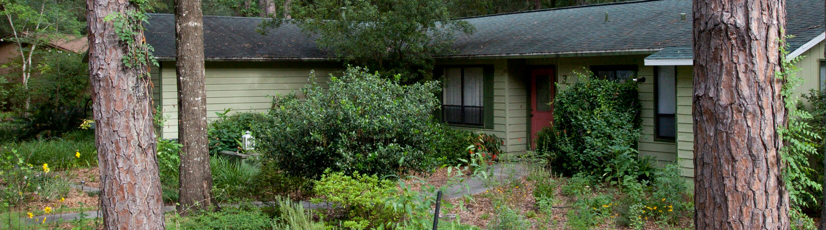 house with planted front yard