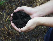 close up of hands holding composted soil 
