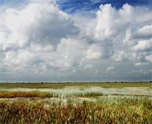 vast view of marshland in the southeast 