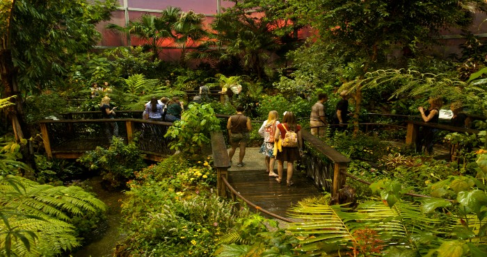people enjoying a botanical garden exhibit