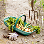 a basket or organic food next to a pitchfork in the field