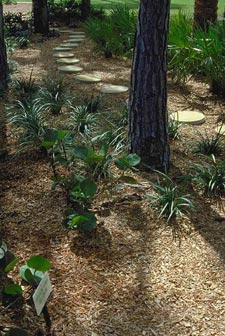 mulch placed around trees and mulch to reduce heat affecting a residence